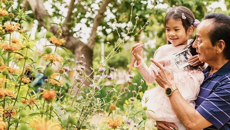 Discovering nature