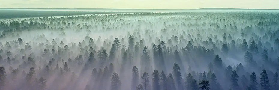 Our ESG stories