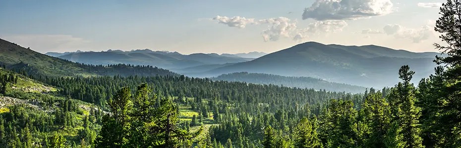 Our business and ESG stories