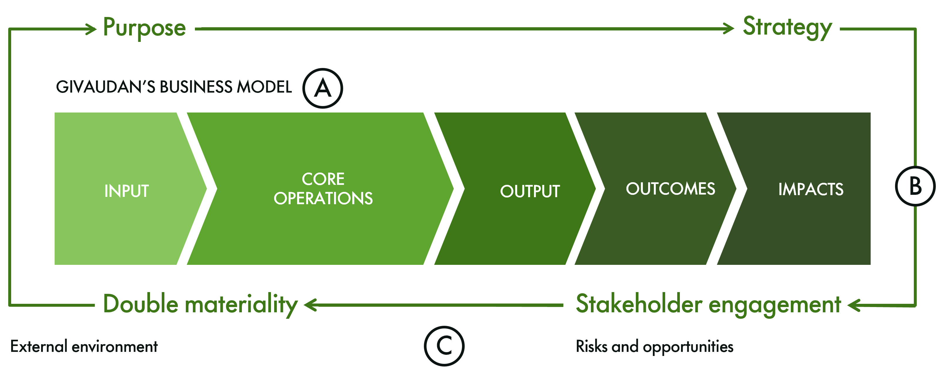 Givaudan's business model diagram outlines key components: input, core operations, output, outcomes, and impacts. It highlights "Purpose" and "Strategy" at the top, with "Double materiality" and "Stakeholder engagement" at the bottom, indicating external influences and engagement strategies.