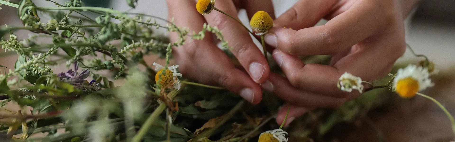 Wild flowers bouquet