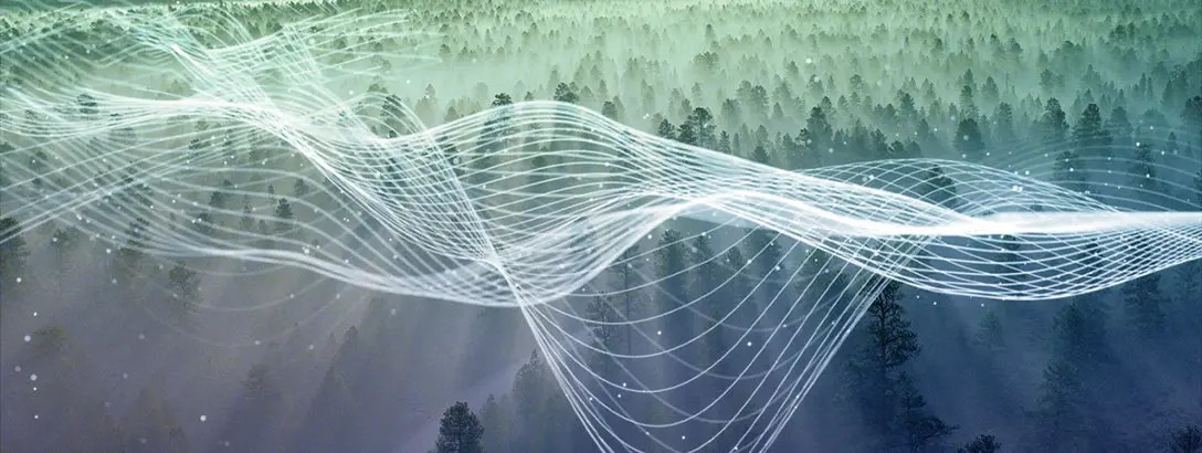 Forest waves
