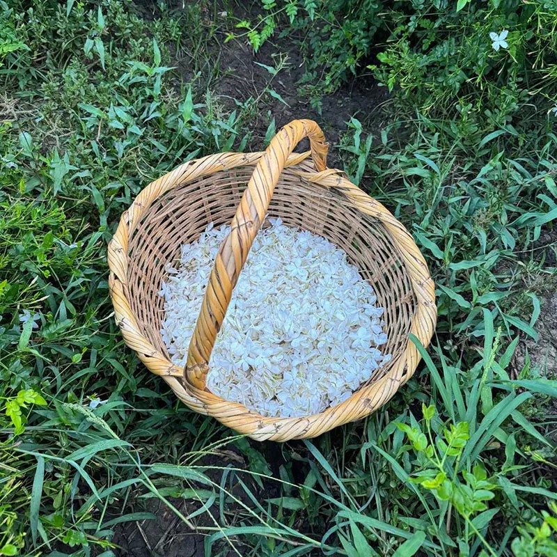 Basket with jasmine flowers