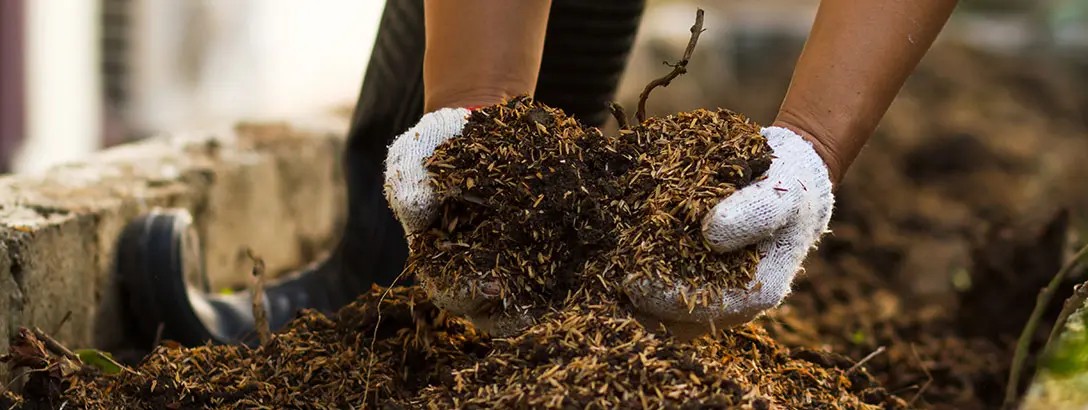 Holding botanical waste