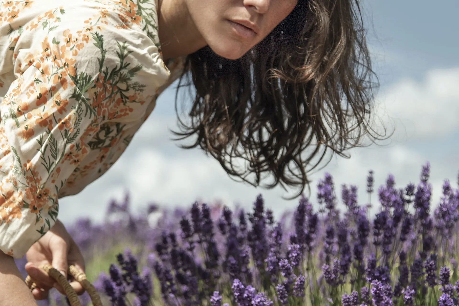 Woman in a lavender field