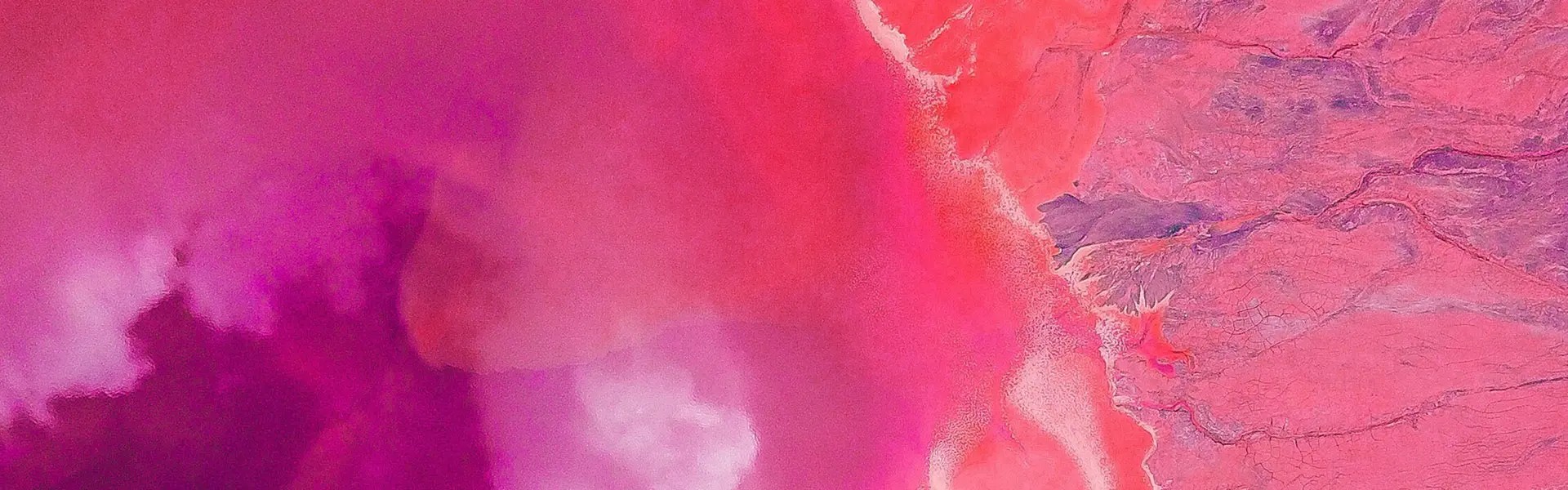 Pink abstract