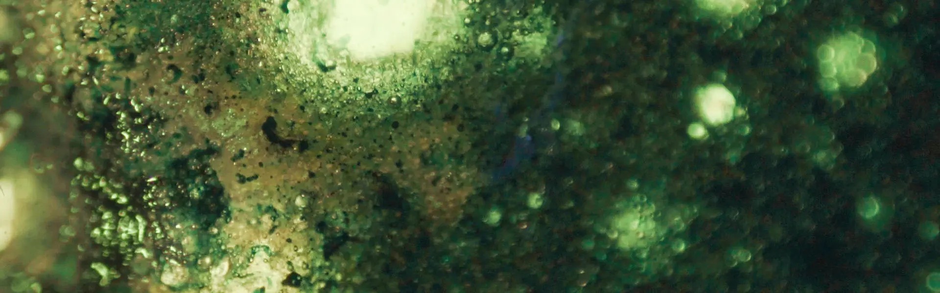 A close-up view of a textured surface with a predominately green hue, featuring scattered bright white spots and fine dark particles. The image conveys a mysterious, otherworldly quality through its intricate details and glimmering effects.