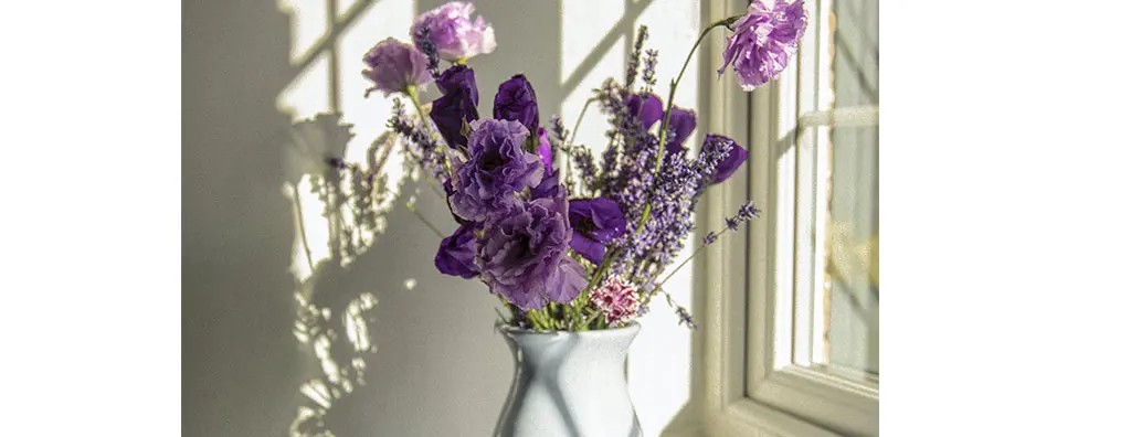 A light blue vase filled with purple flowers sits on a white windowsill, casting delicate shadows against the wall. Soft sunlight highlights the floral arrangement's rich colours.