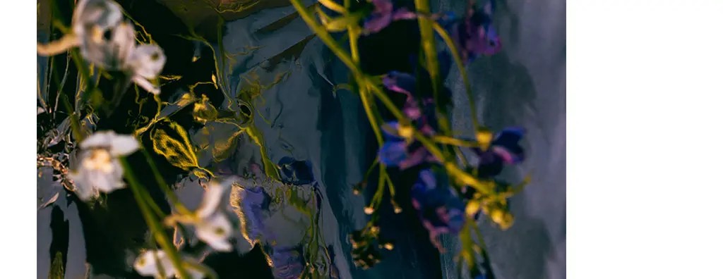 Delicate white and purple flowers drape across a dark, reflective surface, creating a fluid interplay of colours and textures. The overall mood is abstract and serene, inviting contemplation.