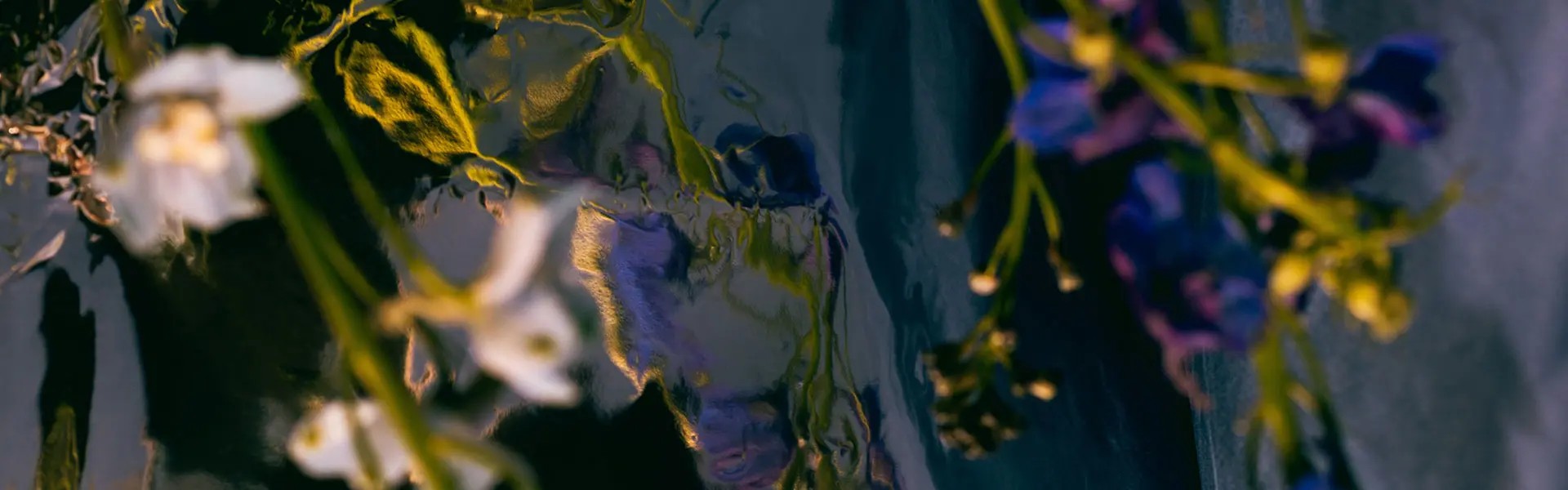 Delicate white and purple flowers drape across a dark, reflective surface, creating a fluid interplay of colours and textures. The overall mood is abstract and serene, inviting contemplation.