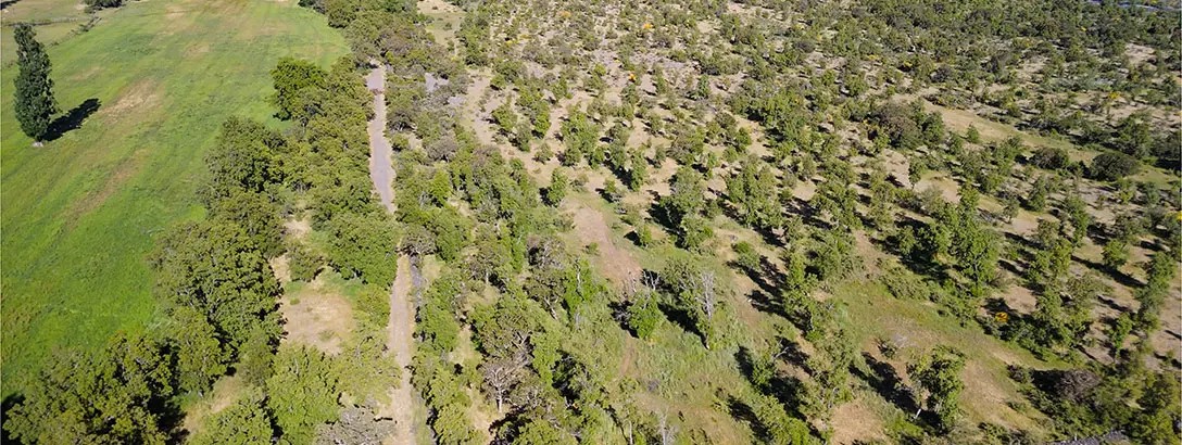 Aerial view of a diverse landscape featuring green fields and patches of trees, with a river winding through the background. The scene conveys tranquility and natural beauty.