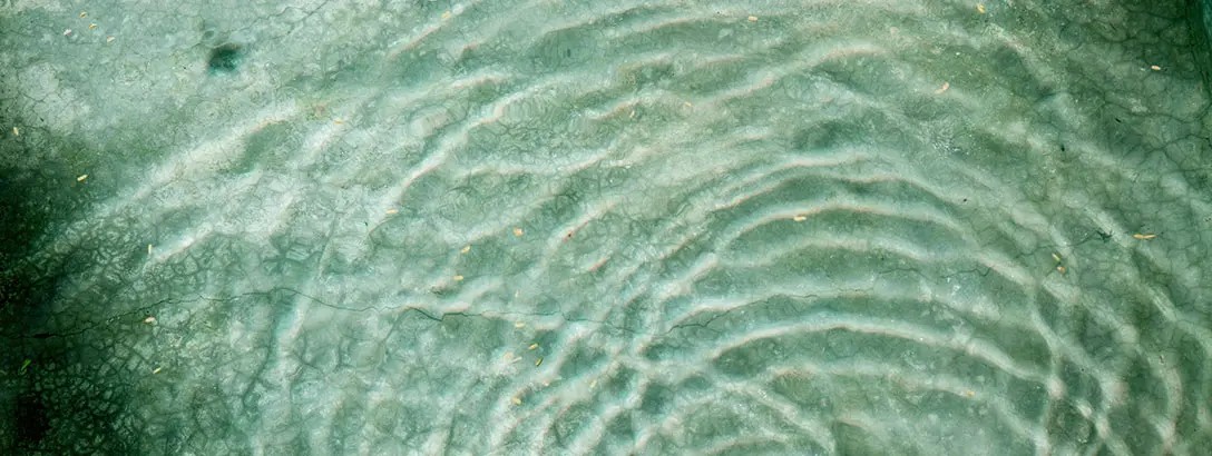 Clear turquoise water creates gentle ripples, reflecting a textured surface below. Small leaves float delicately on the water's surface, enhancing a tranquil atmosphere.