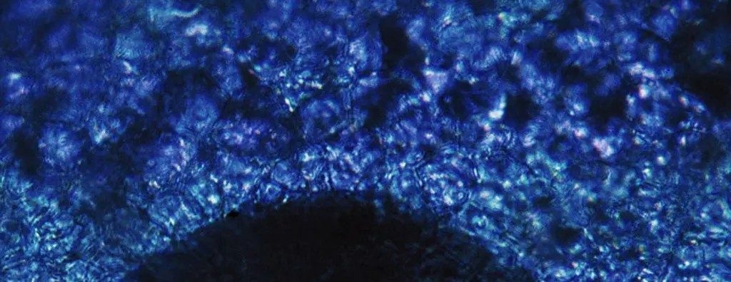 A close-up view of a textured surface predominantly featuring shades of blue, with hints of lighter colours creating a shimmering effect. The image conveys a sense of depth and fluidity, resembling patterns found in natural materials or liquids.