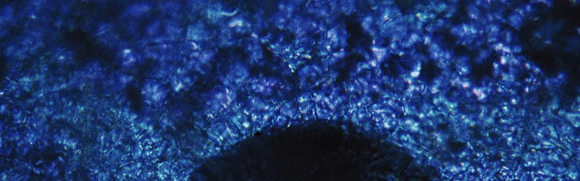 A close-up abstract image featuring various shades of deep blue, with shimmering, textured patterns creating a fluid effect. The overall mood is mysterious and dynamic.