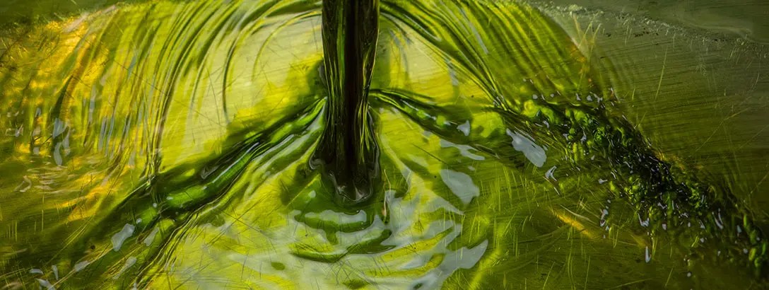 Thick cold impression of green mandarin pours into a shallow metallic bowl, creating ripples on the surface. The overall mood is vibrant, highlighting the rich colour and texture of the liquid.