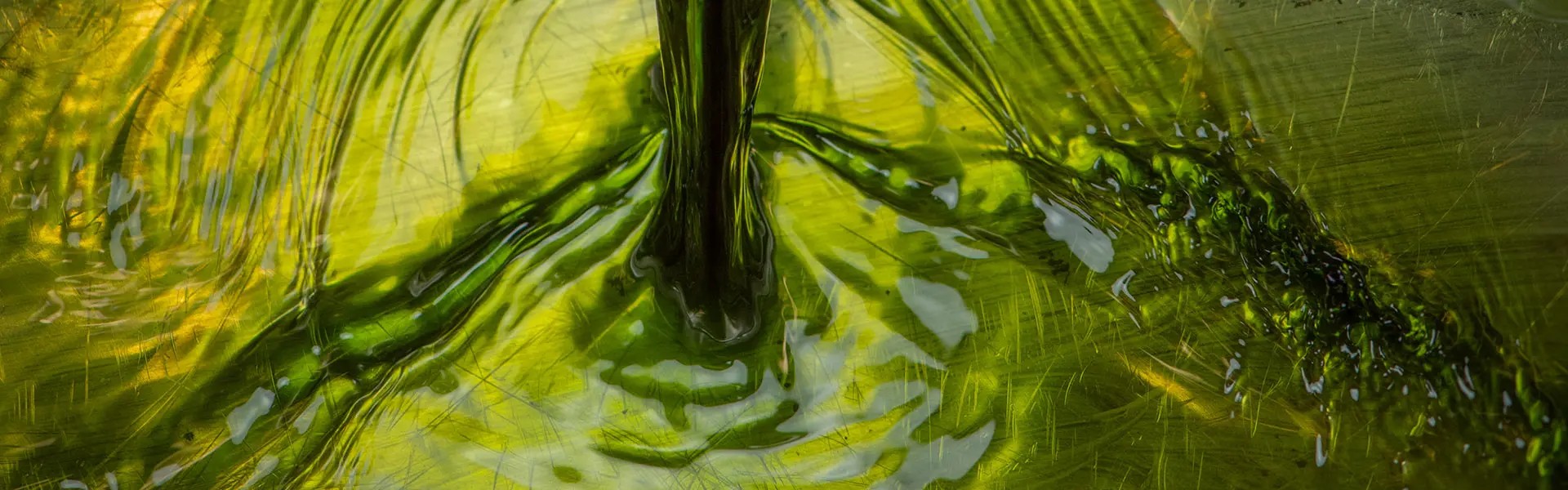 Thick cold impression of green mandarin pours into a shallow metallic bowl, creating ripples on the surface. The overall mood is vibrant, highlighting the rich colour and texture of the liquid.
