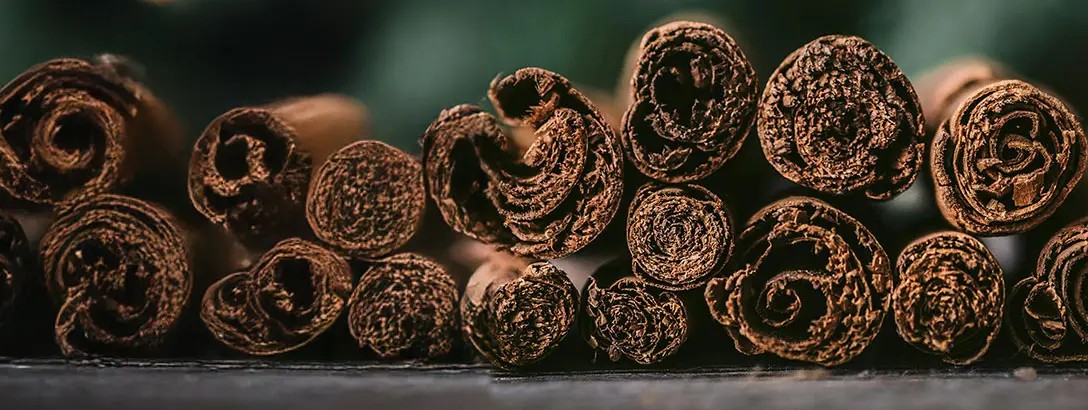 Close-up of curled ceylon cinnamon sticks stacked in a row, showcasing their rich brown hues and textured surfaces. The background is softly blurred, enhancing the warm, inviting mood.